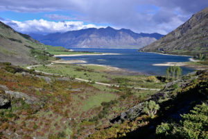 Landscape New Zealand