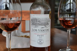 Wines in Valaparaiso and Santa Cruz in Chile