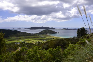 Landscape New Zealand - - New Zealand Travel Tips