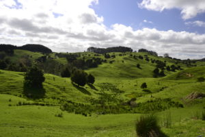 Landscape New Zealand - - New Zealand Travel Tips