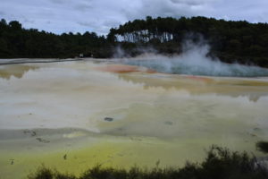 Geothermic area in New Zealand - New Zealand Travel Tips