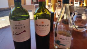 Winery Montgras in Santa Cruz in Chile