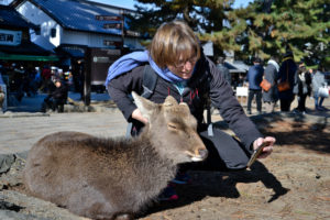 Saskia Hohe Nara deer park unesco world heritage Japan