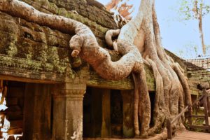 Ta Prohm Tomb Raider Temple in Angkor Wat Siem Reap Cambodia Kambodscha - Cambodia Travel Tips