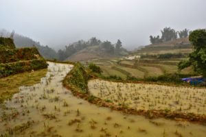 Sa Pa trekking villages in Vietnam rice terraces