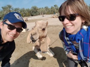 Saskia Hohe royal camel farm Bahrain