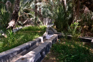 Al Ain Oasis dates palm groves UNESCO World Heritage United Arab Emirates Vereinigte Arabische Emirate