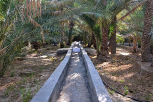 Al Ain Oasis dates palm groves UNESCO World Heritage United Arab Emirates Vereinigte Arabische Emirate