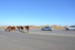 Erbent Desert Village Turkmenistan